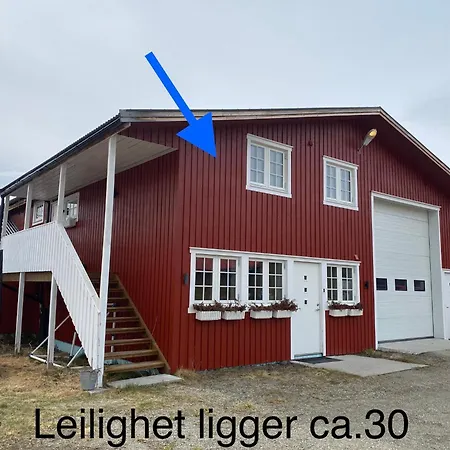 Leilighet Solendet, I Brekken Ved Roros Exterior photo